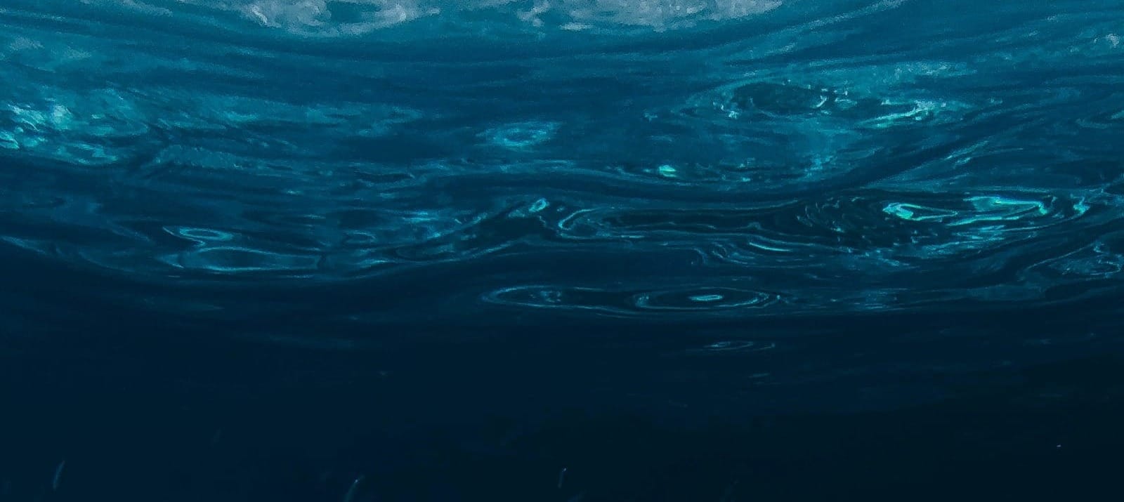 blue and clear body of water