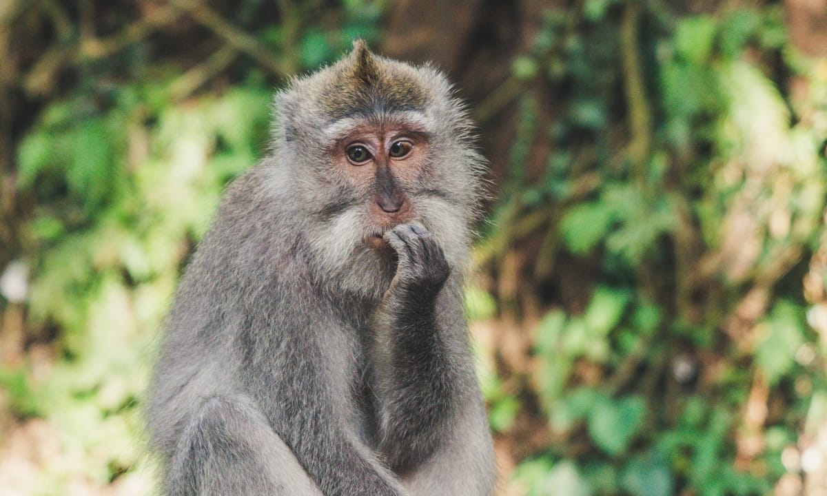 Criticism of Idealism