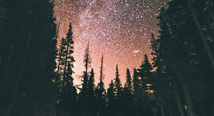 Mind at Large vs Universal Consciousness [link from email]