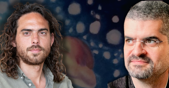 Christopher Timmerman: DMT entities & pure conscious experience