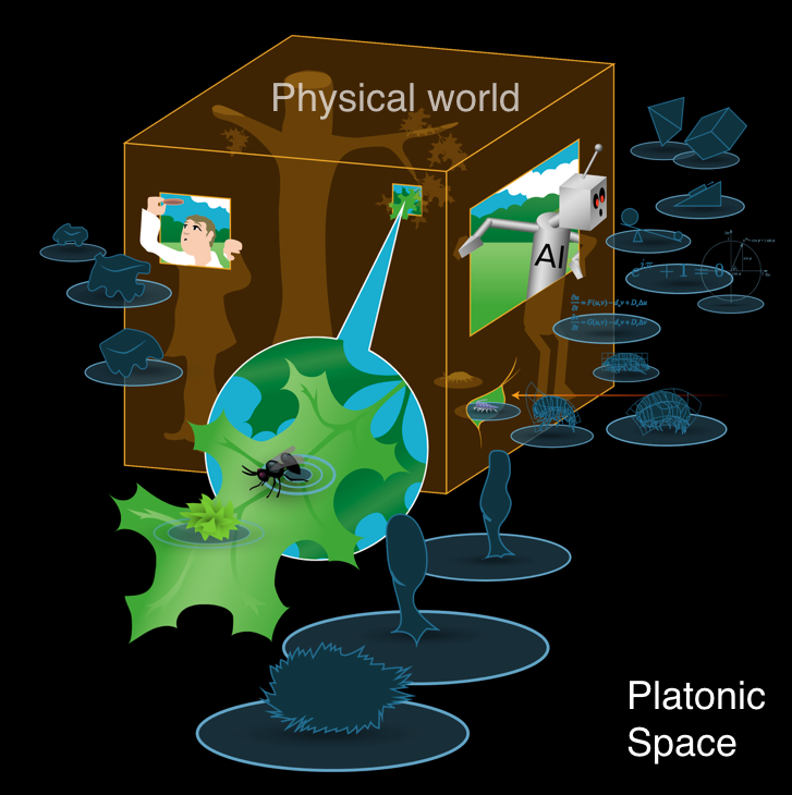 Michael Levin: Could the answer be looking for you?